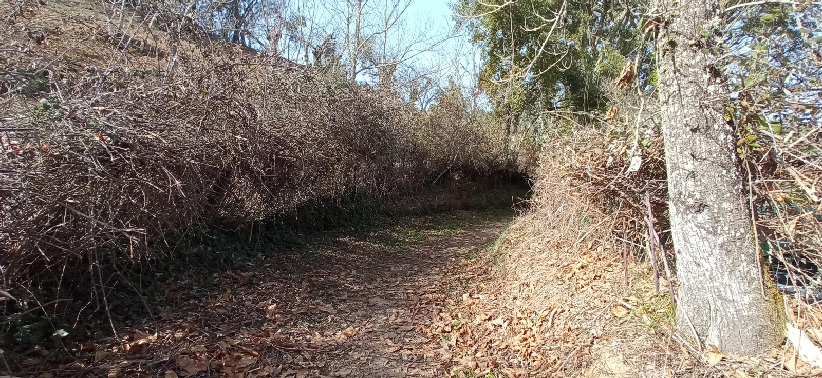 Las imágenes de la ruta de la Dehesa de Valdelama: De Los Marines a Fuenteheridos y vuelta