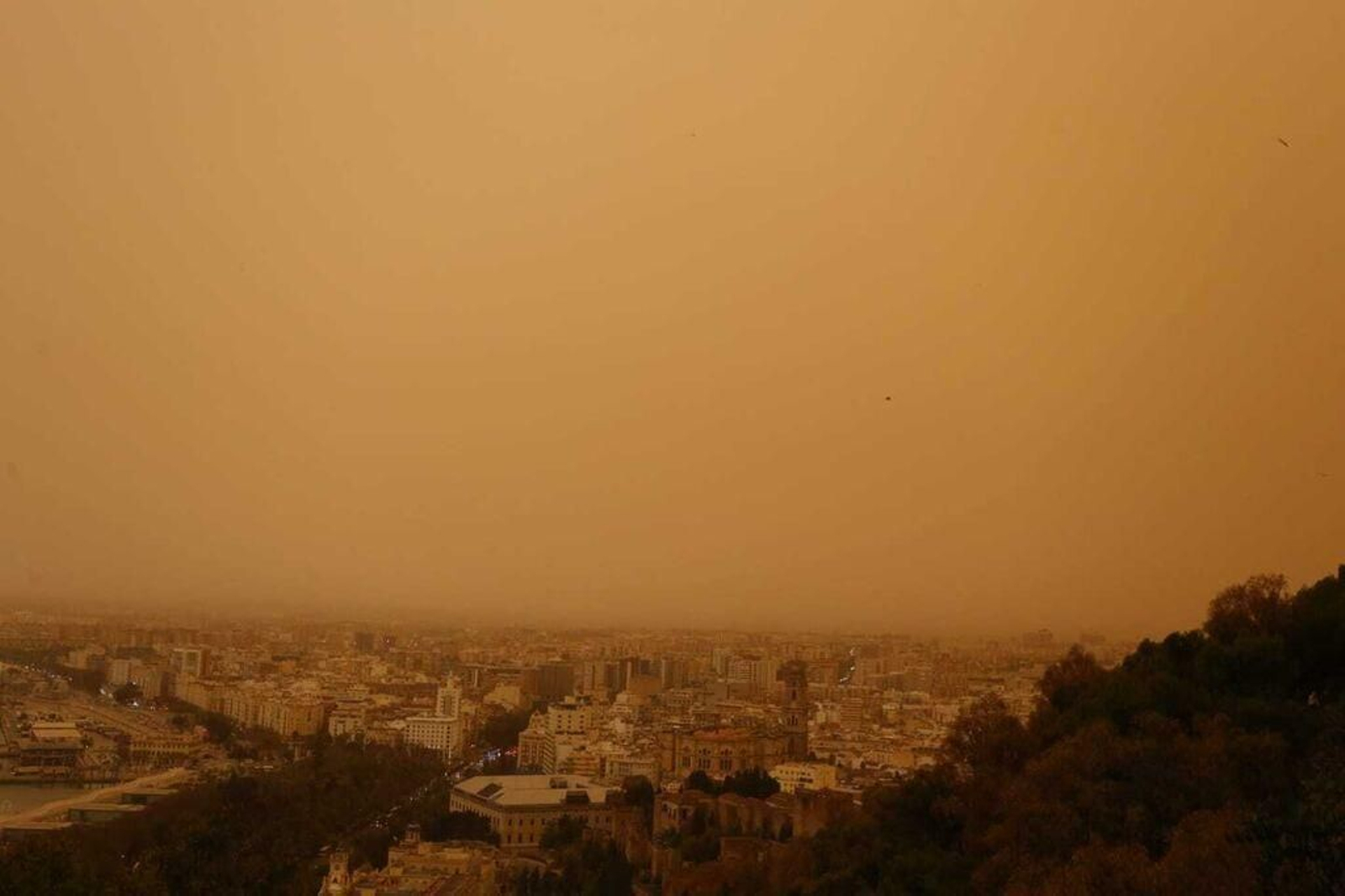 Málaga, esta mañana bajo los efectos de la calima.