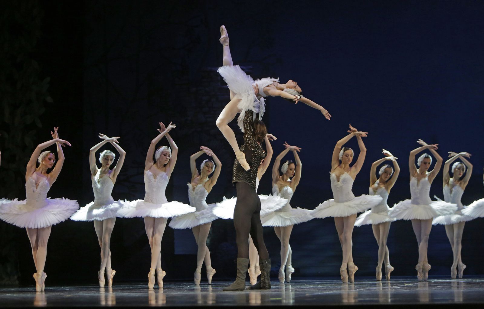 EL LAGO DE LOS CISNES