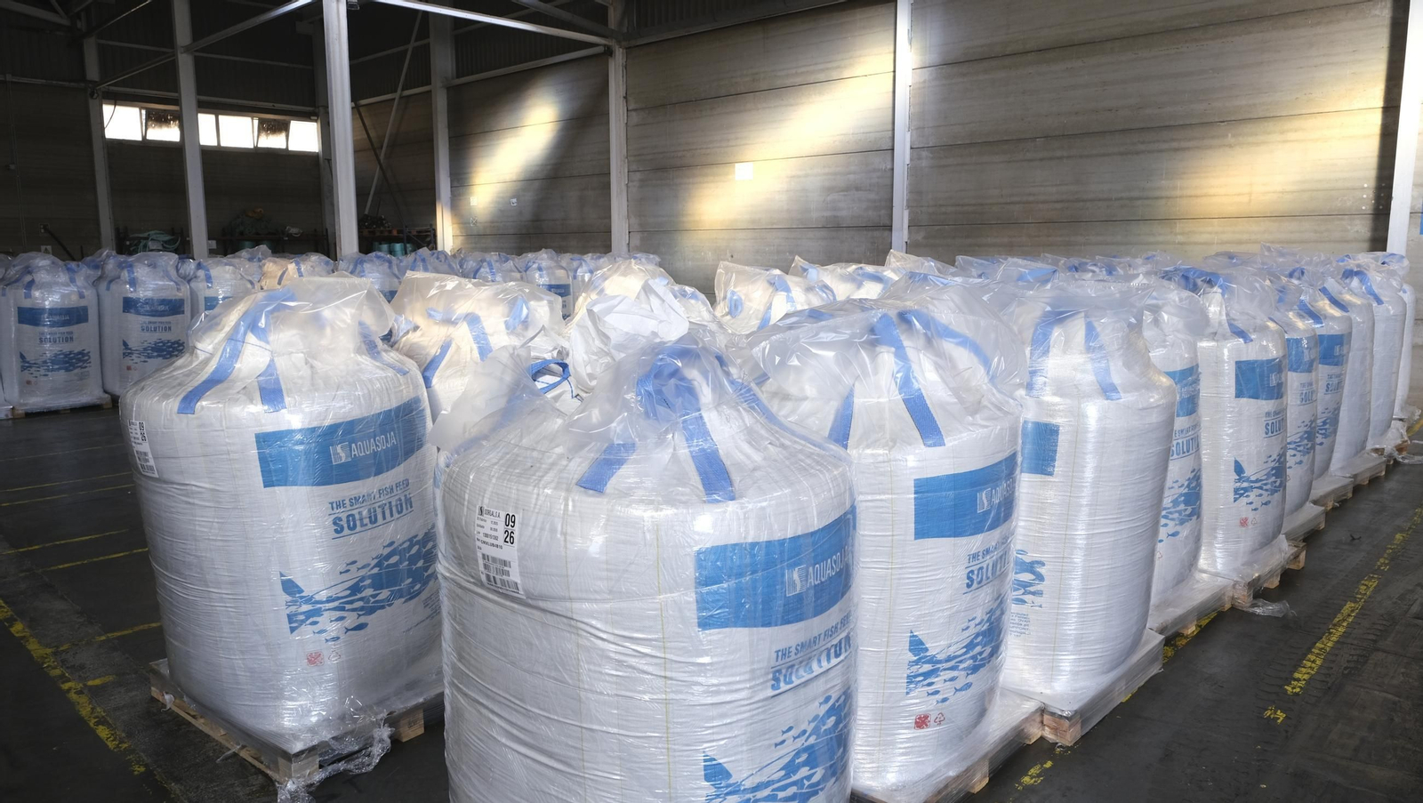 La piscifactoría de El Cañarete, en imágenes