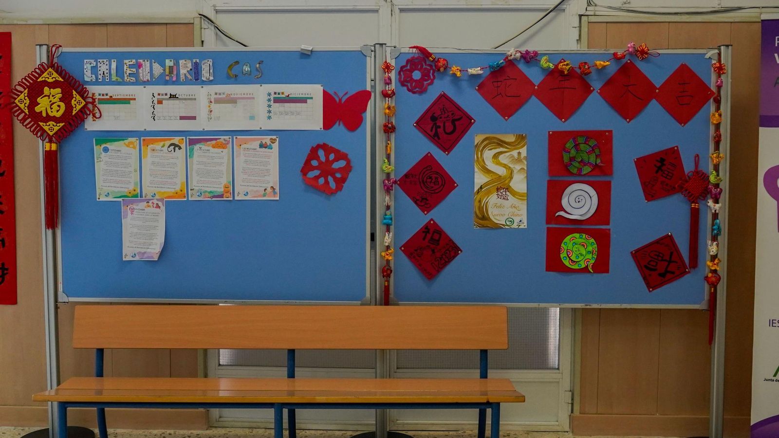 Manualidades realizadas por los alumnos.