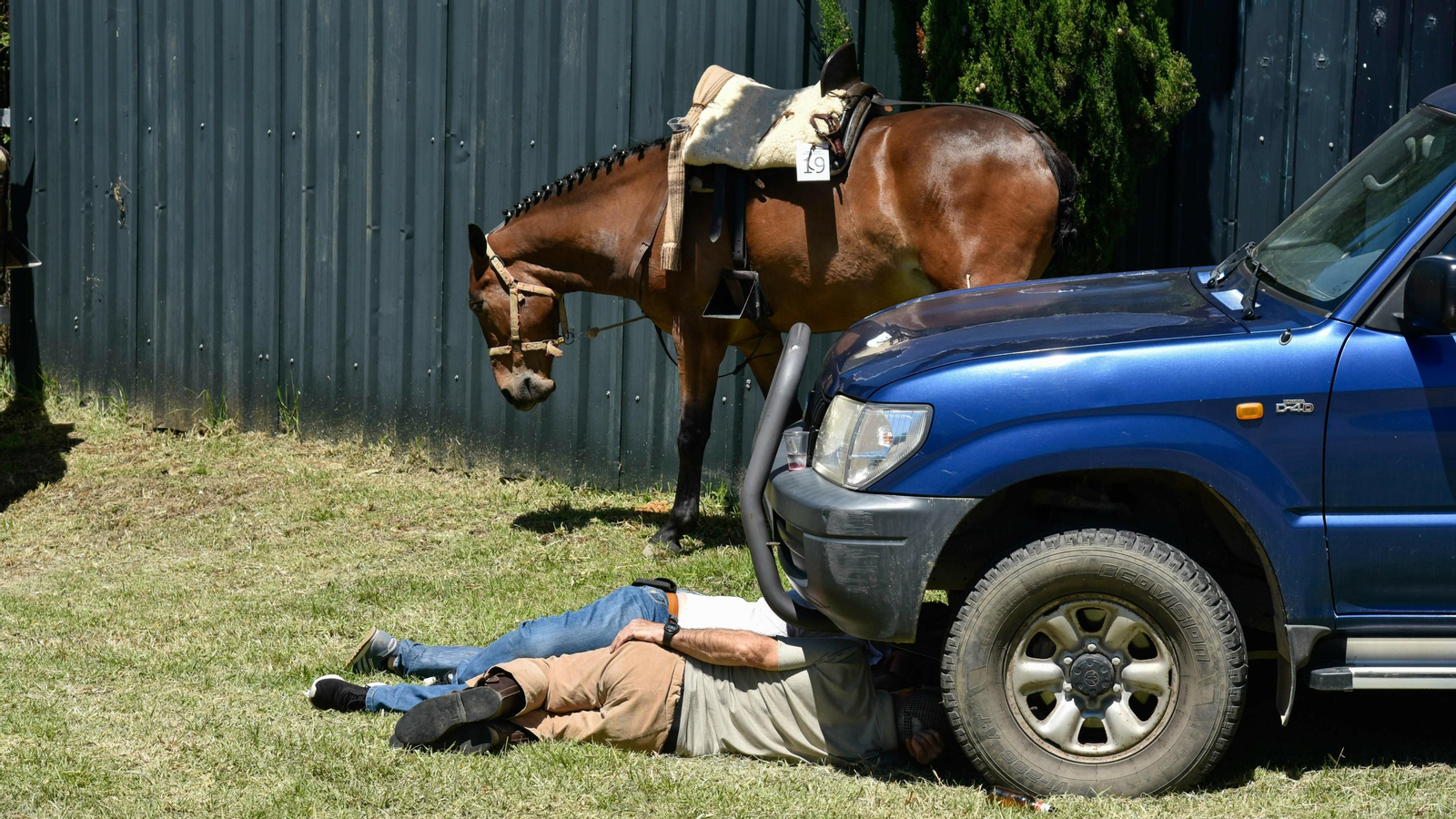 La romería de Los Barrios en imágenes