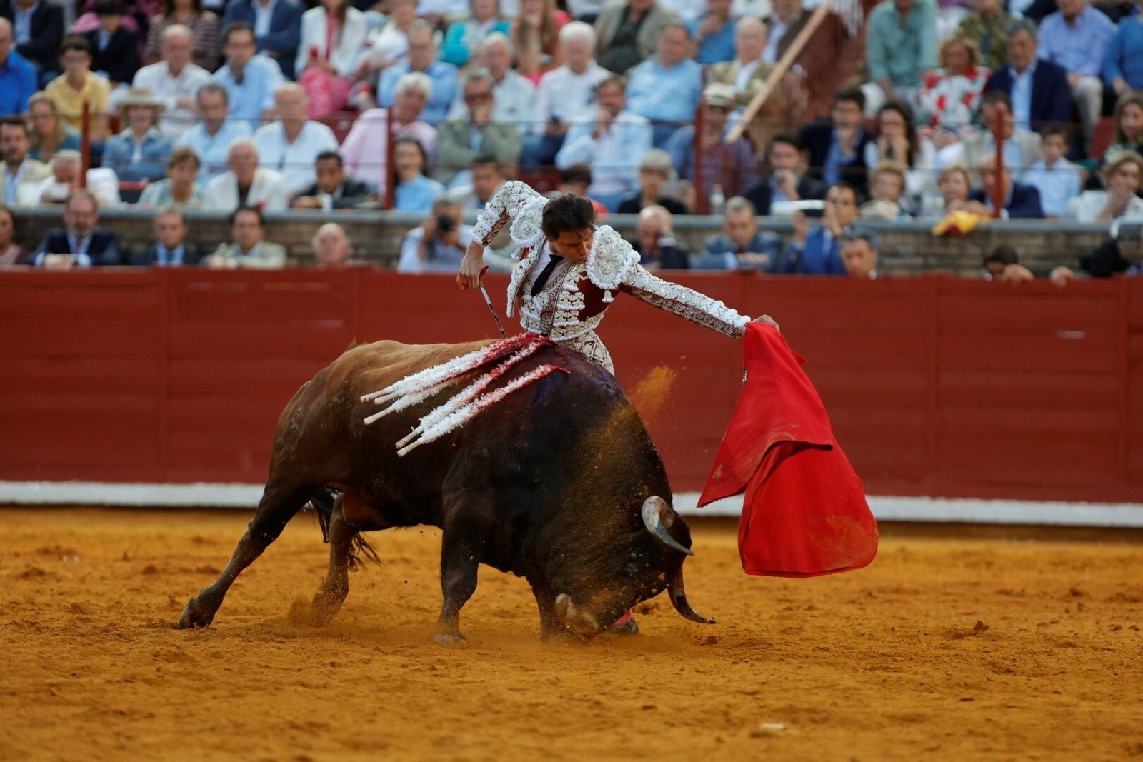 Las mejores fotos de la corrida de Morante, Ortega y Roca Rey en la Feria Taurina de Córdoba