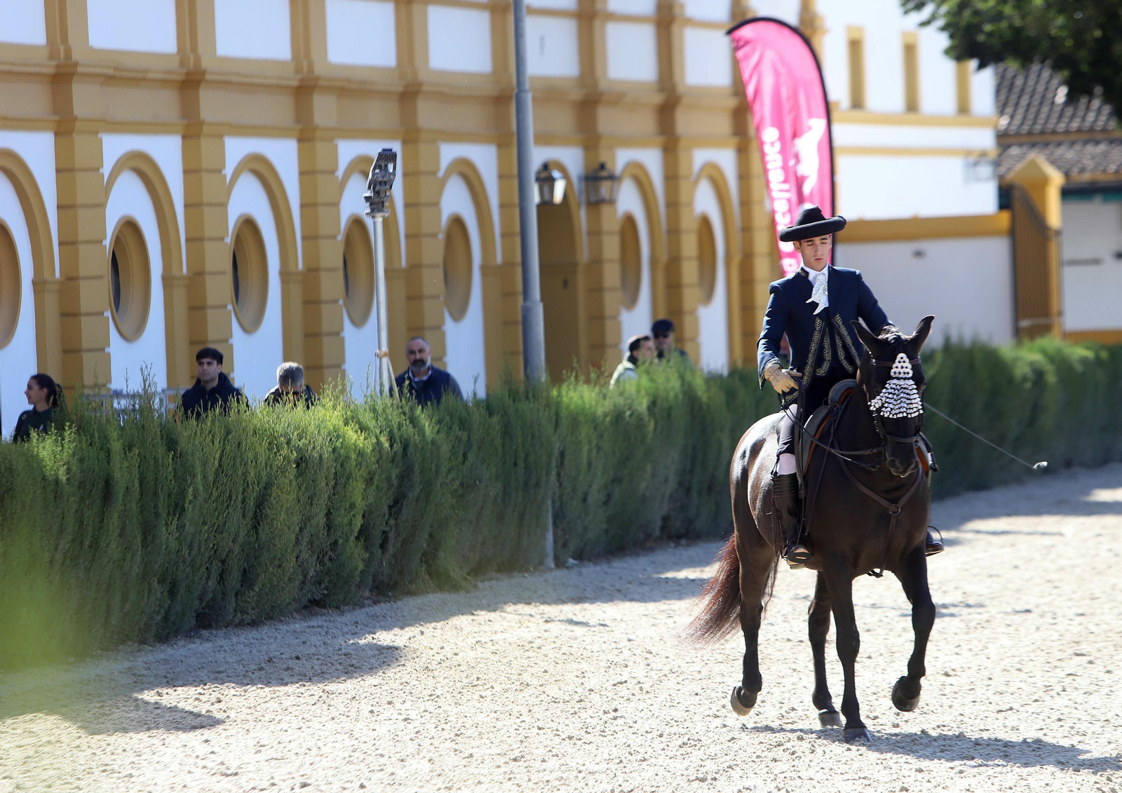 XVII Campeonato de Andalucía de Doma de Alta Escuela