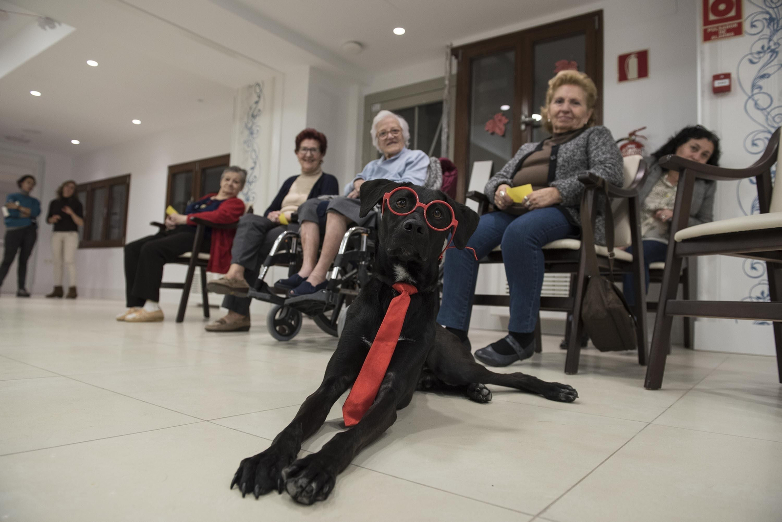 1. Imagen de Thor disfrazado para el recuento de puntos de un juego 2. Eva Dengra, en la finca de De los Guzmanes junto a Nevada, Shakira y Anouk