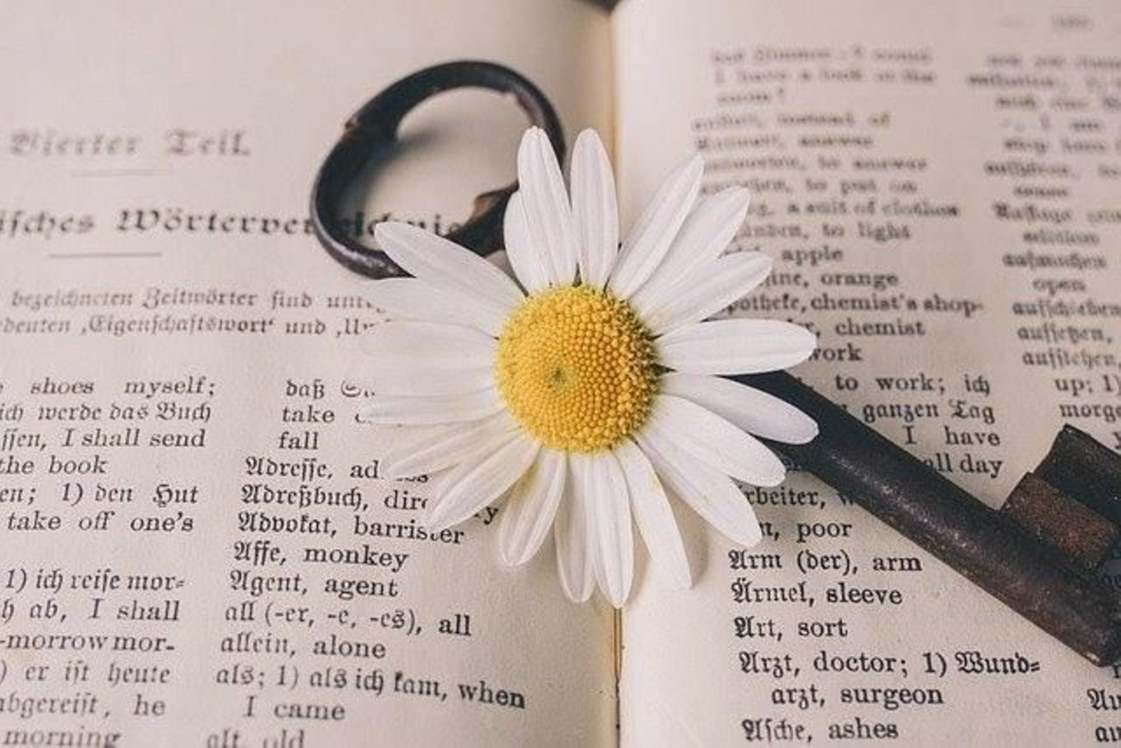 7 palabras en inglés que siempre sabías gracias a las marcas