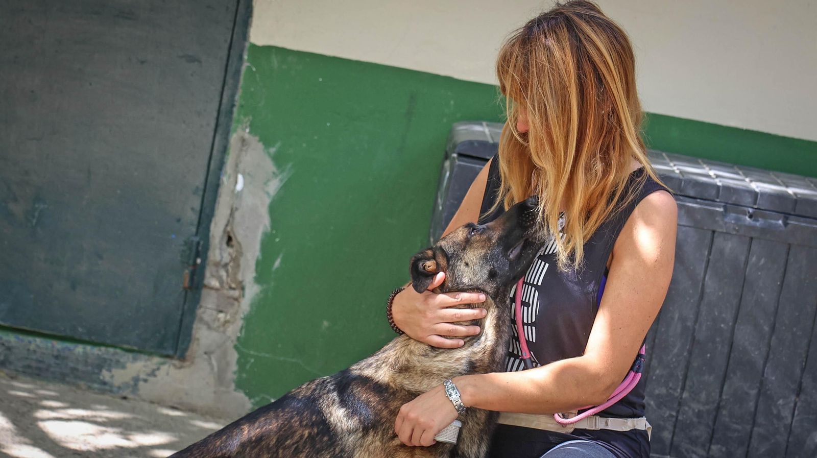 Protectora No Me Abandones en Jerez
