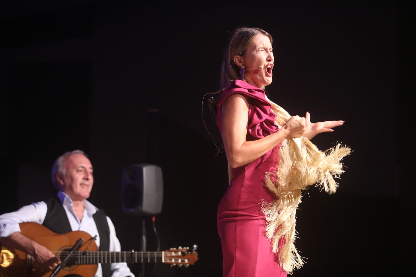 La noche flamenca en el Parque de San Fernando, en imágenes