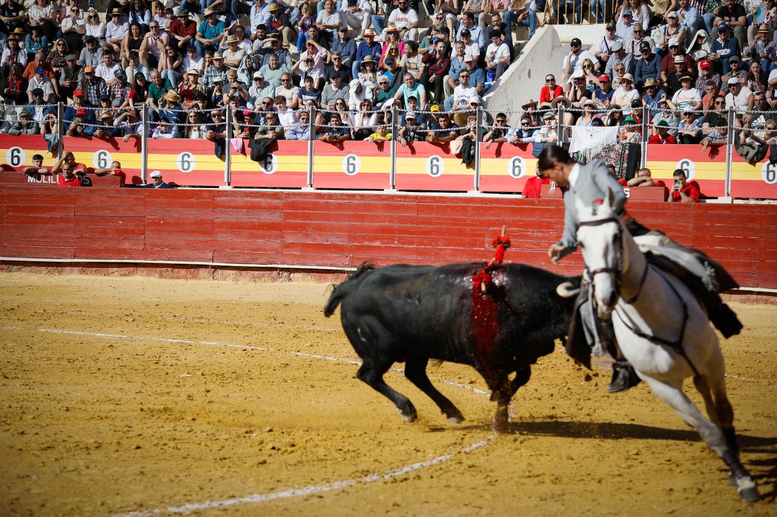 Imágenes del festival mixto lucha contra el cáncer