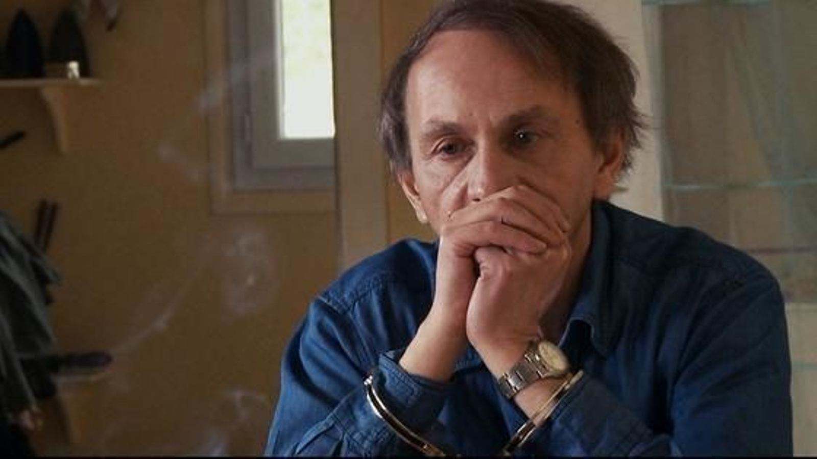 "Francia no es Michel Houellebecq"