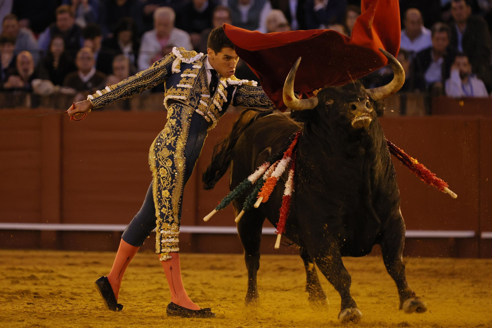 Las Imágenes del festejo