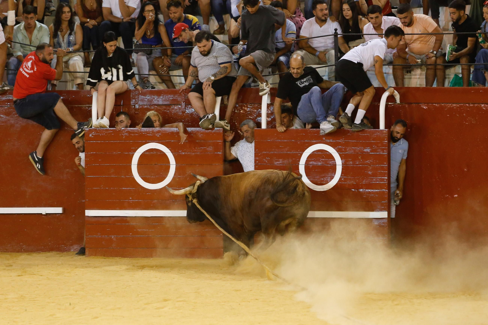 Fotos del Toro del Aguardiente en San Roque