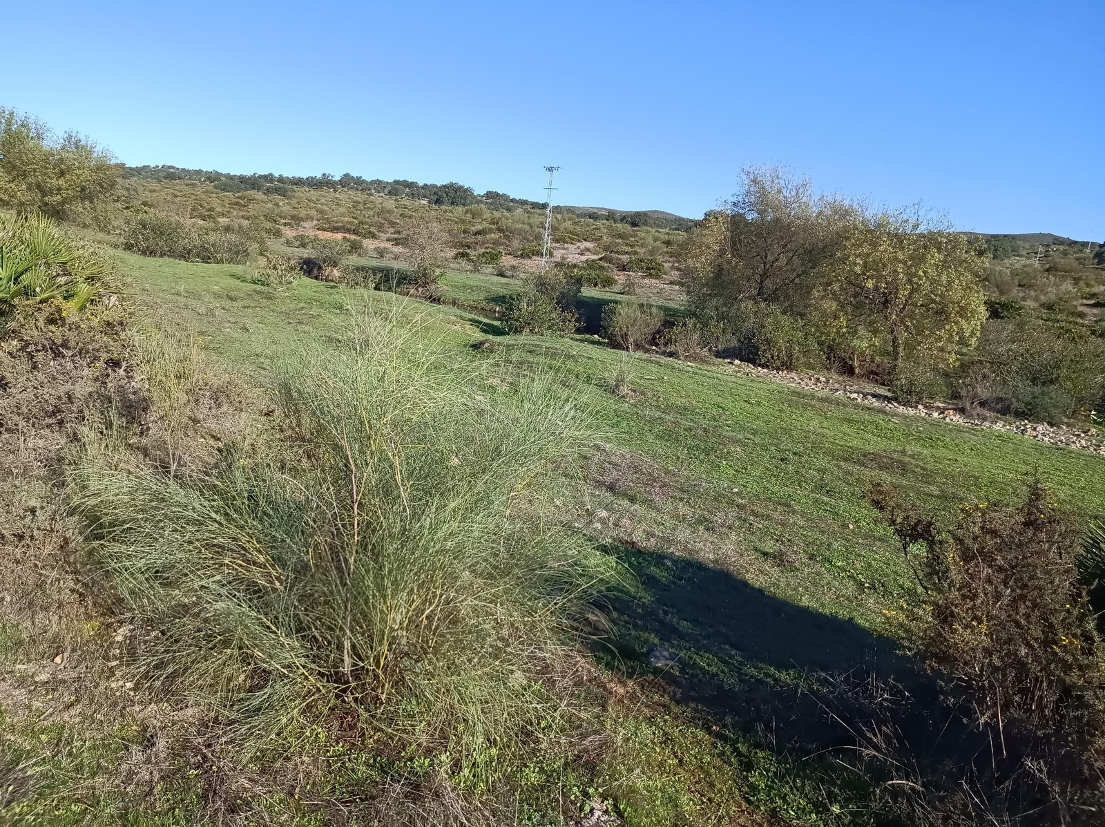 Ruta de Las Cañadillas