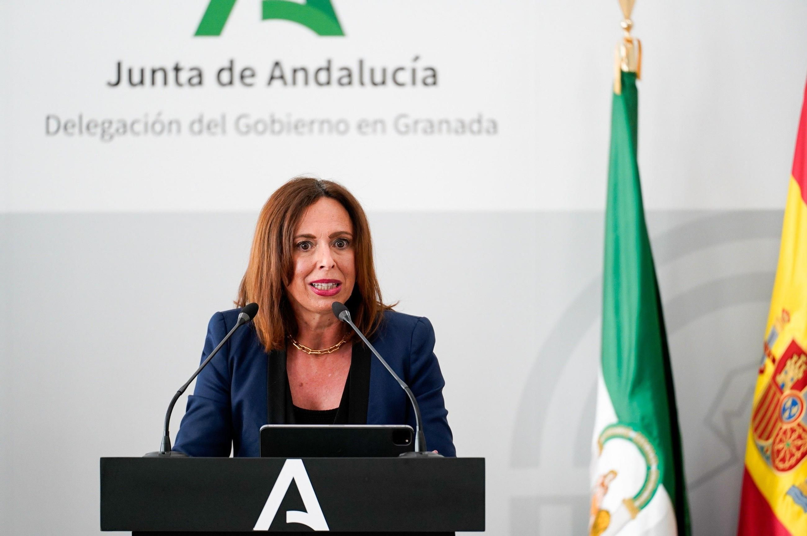 La consejera de Fomento, Articulación del Territorio y Vivienda, Rocío Díaz. La consejera de Fomento, Articulación del Territorio y Vivienda, Rocío Díaz.