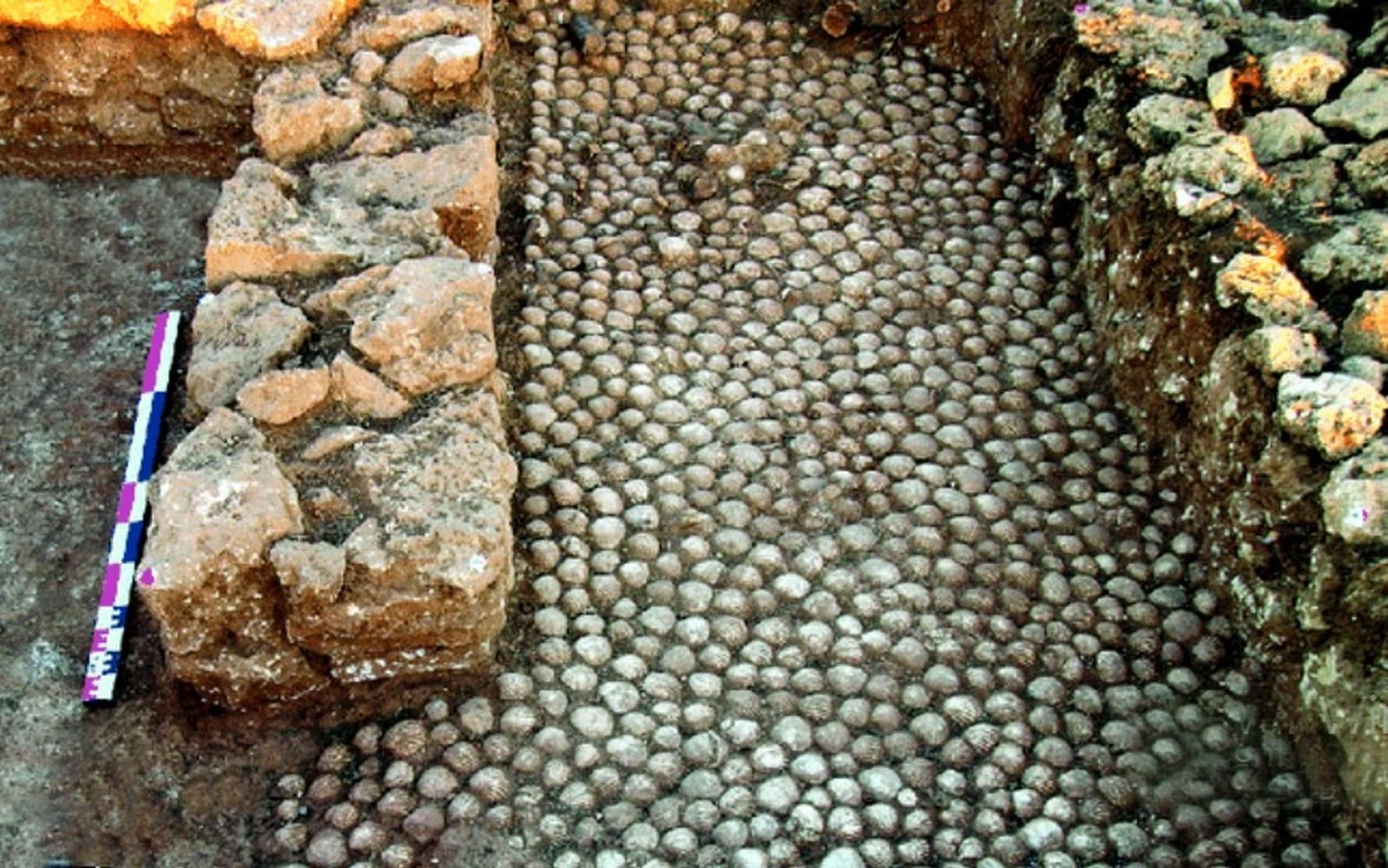 Pavimento de conchas en uno de las edificios excavados.