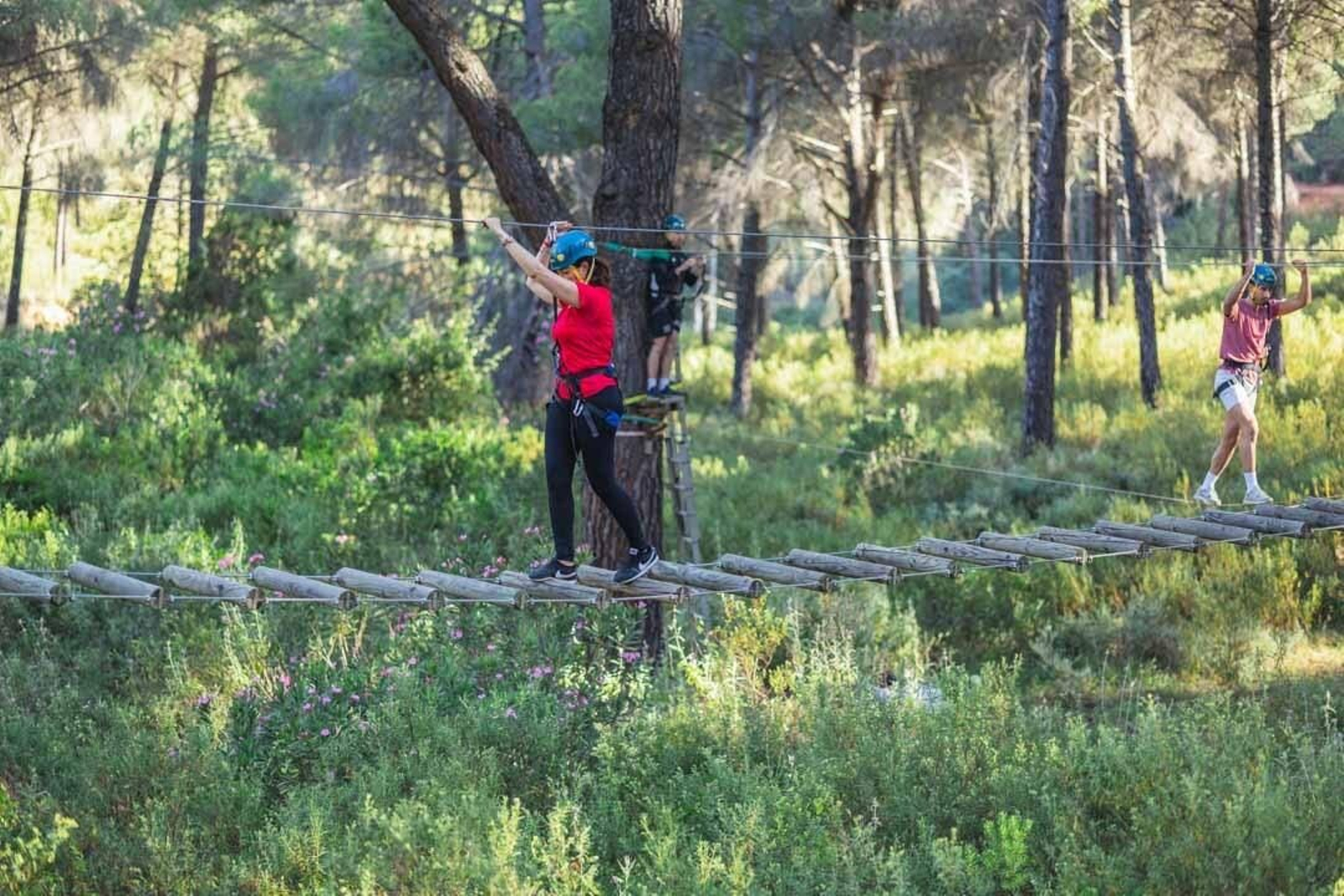 Un parque por todo lo alto: así es el circuido de bosque suspendido de Huelva