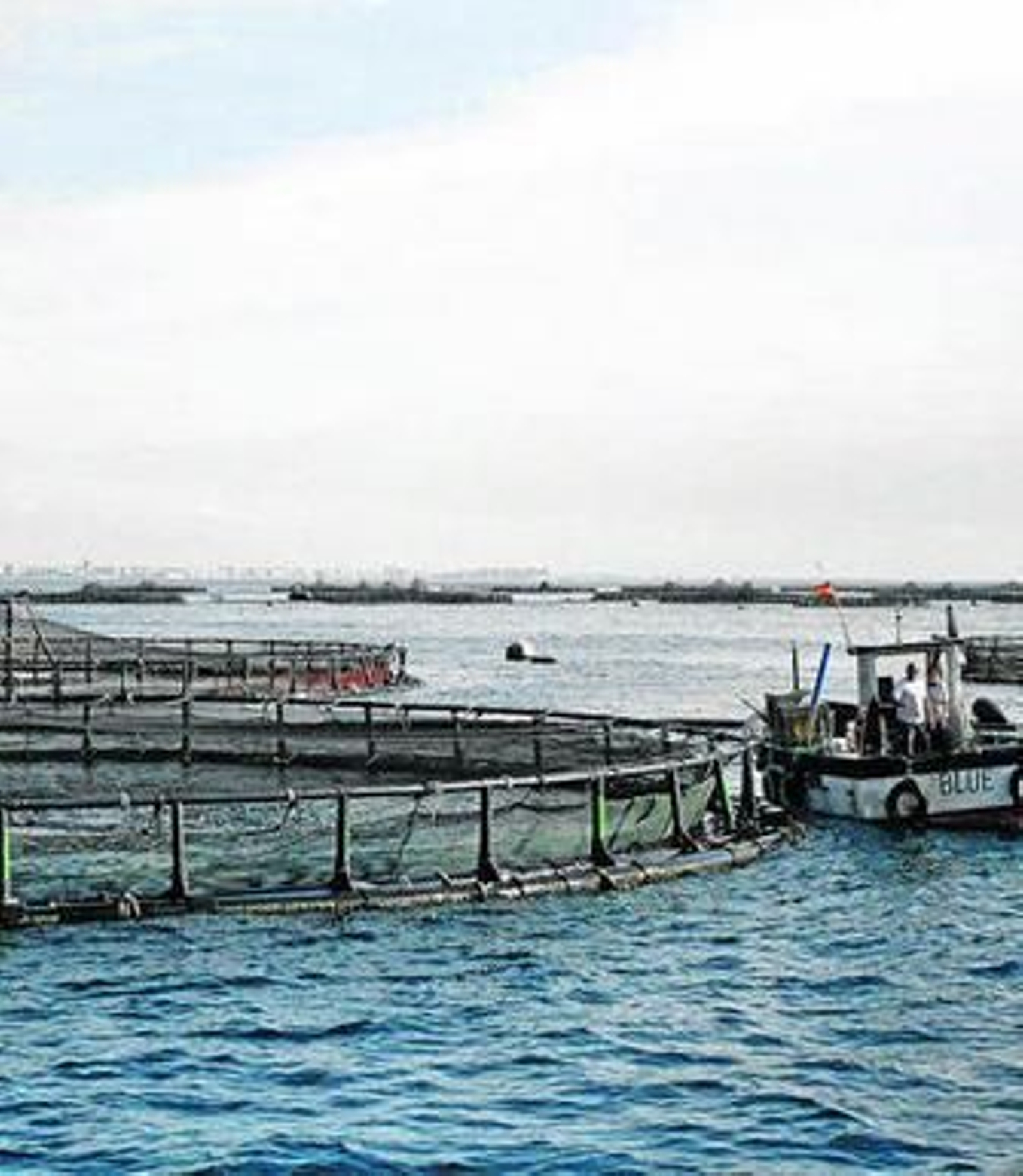 Instalaciones de Piagua en Aguadulce.