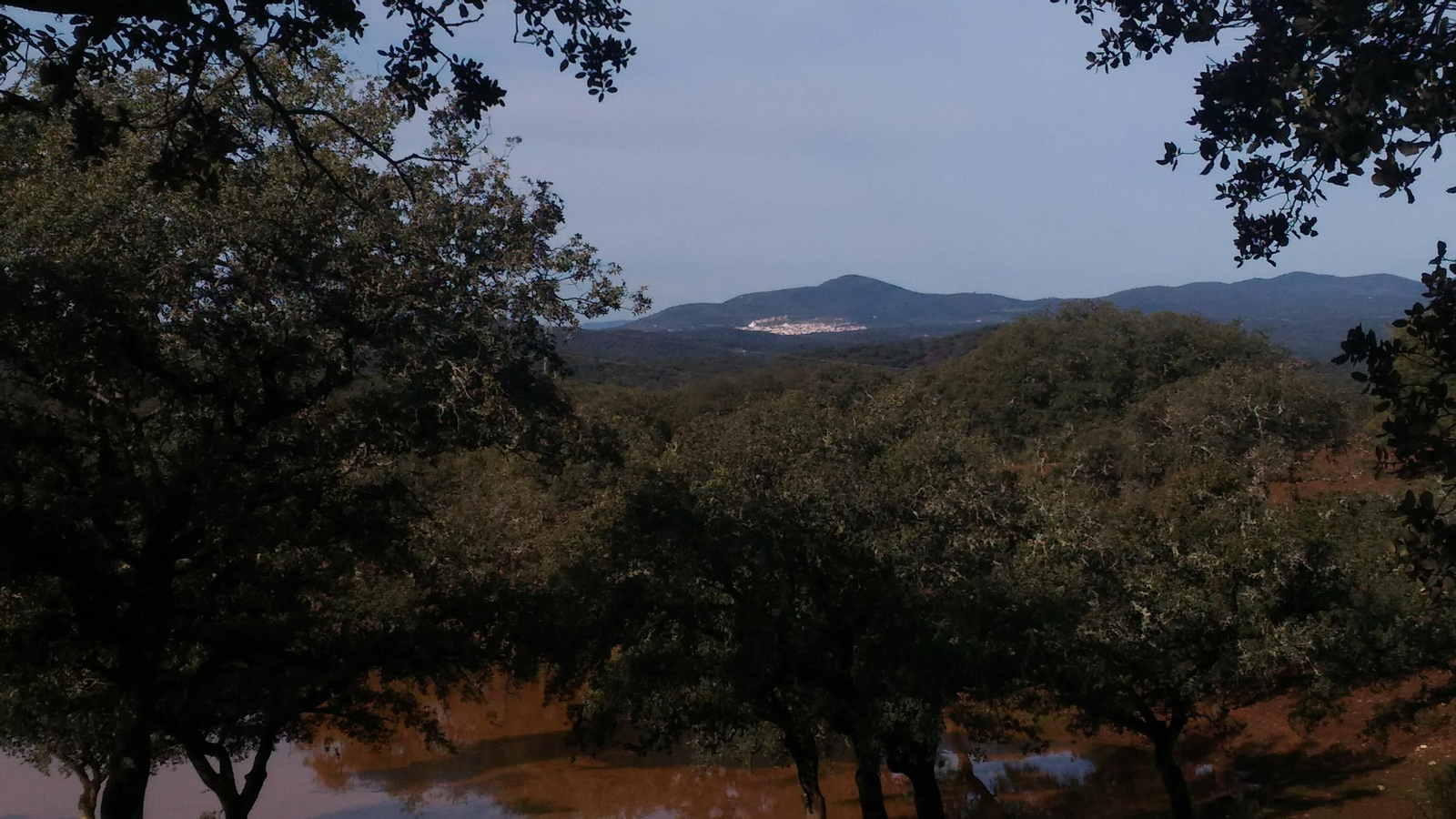 Fotos de la Vía de la Plata a su paso por Sevilla