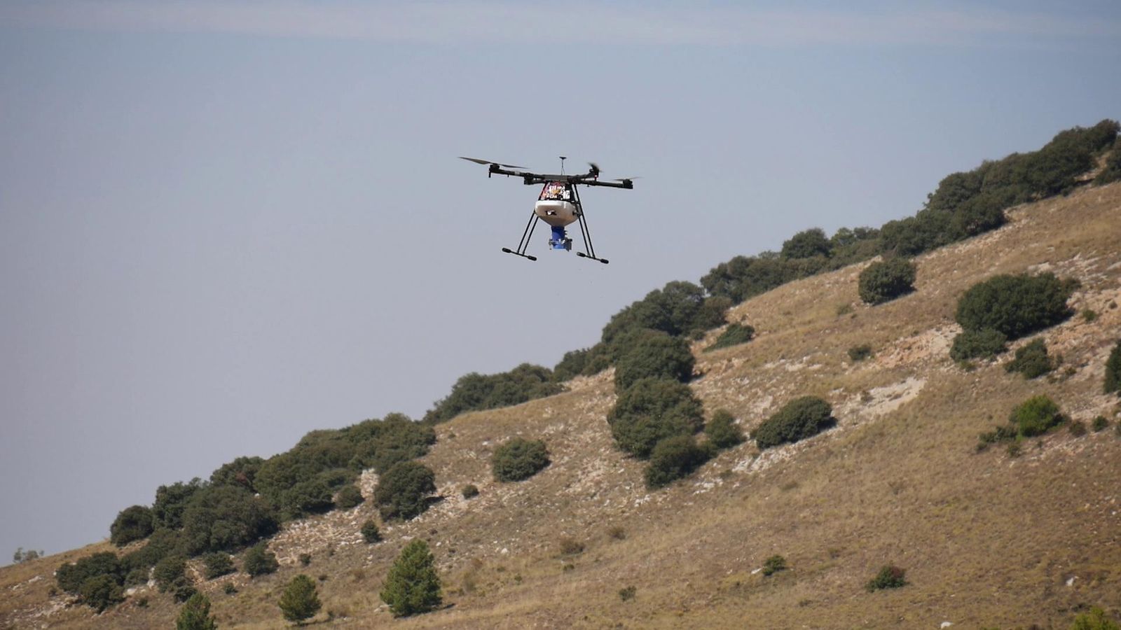 Dron sobrevolando la zona lanzando las  semillas.