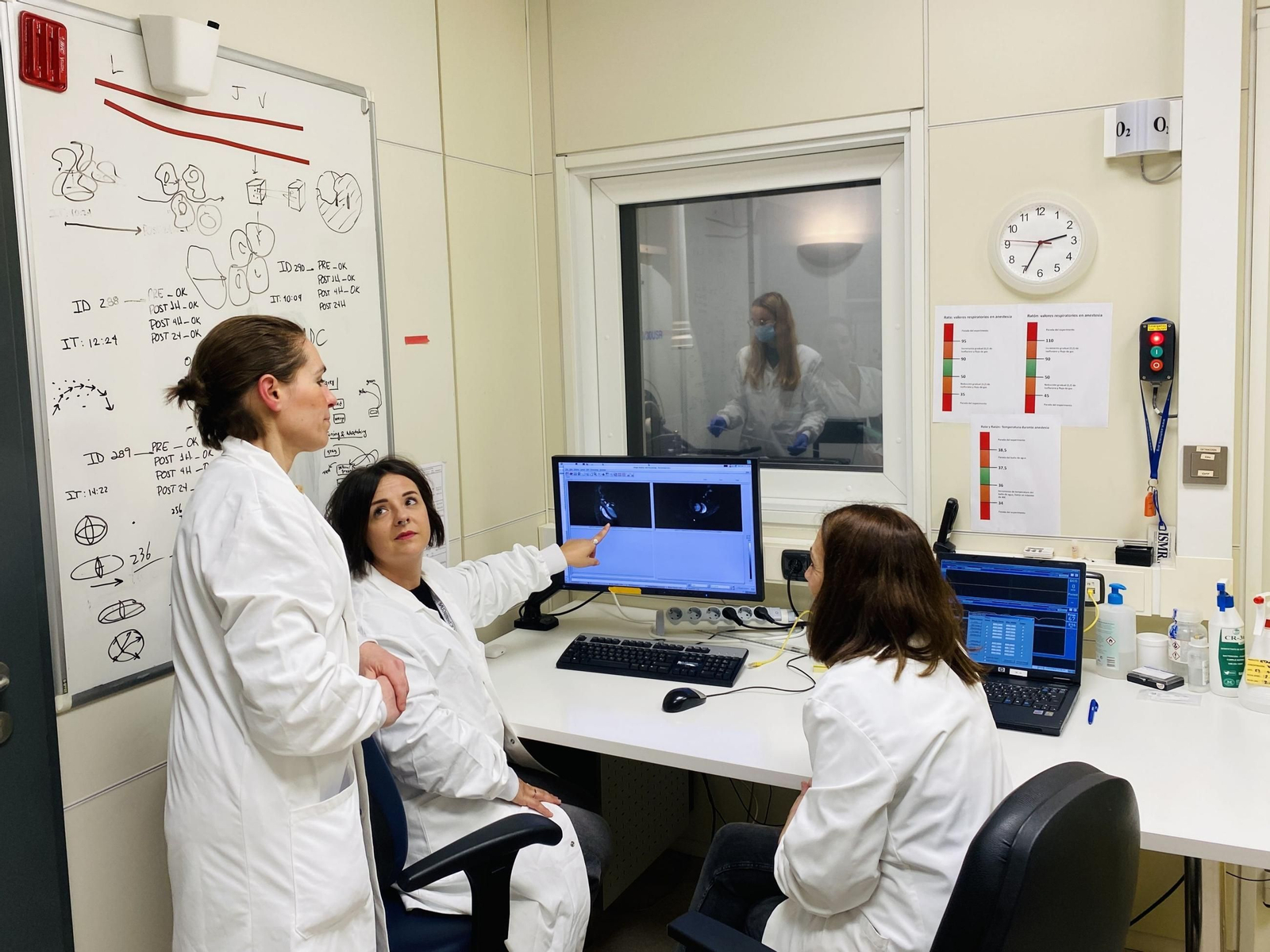 Investigadoras del CIC biomaGUNE.