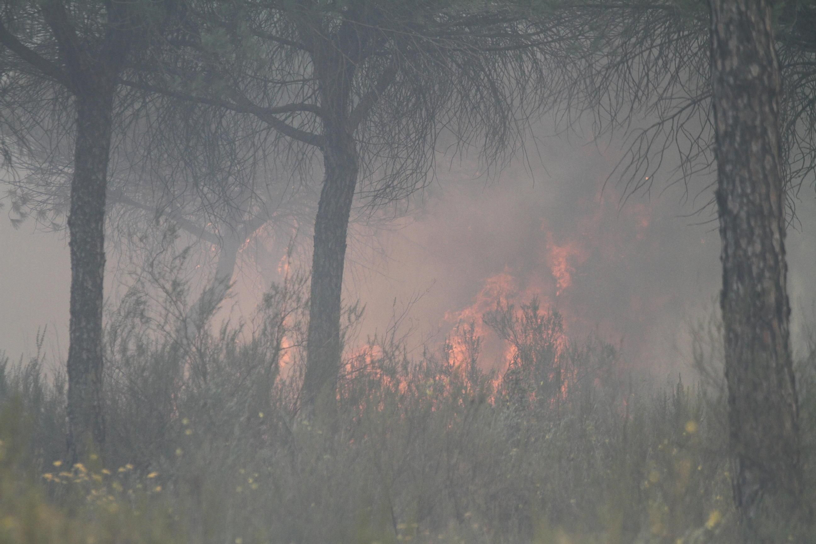 Las imágenes del incendio en Moguer y Mazagón