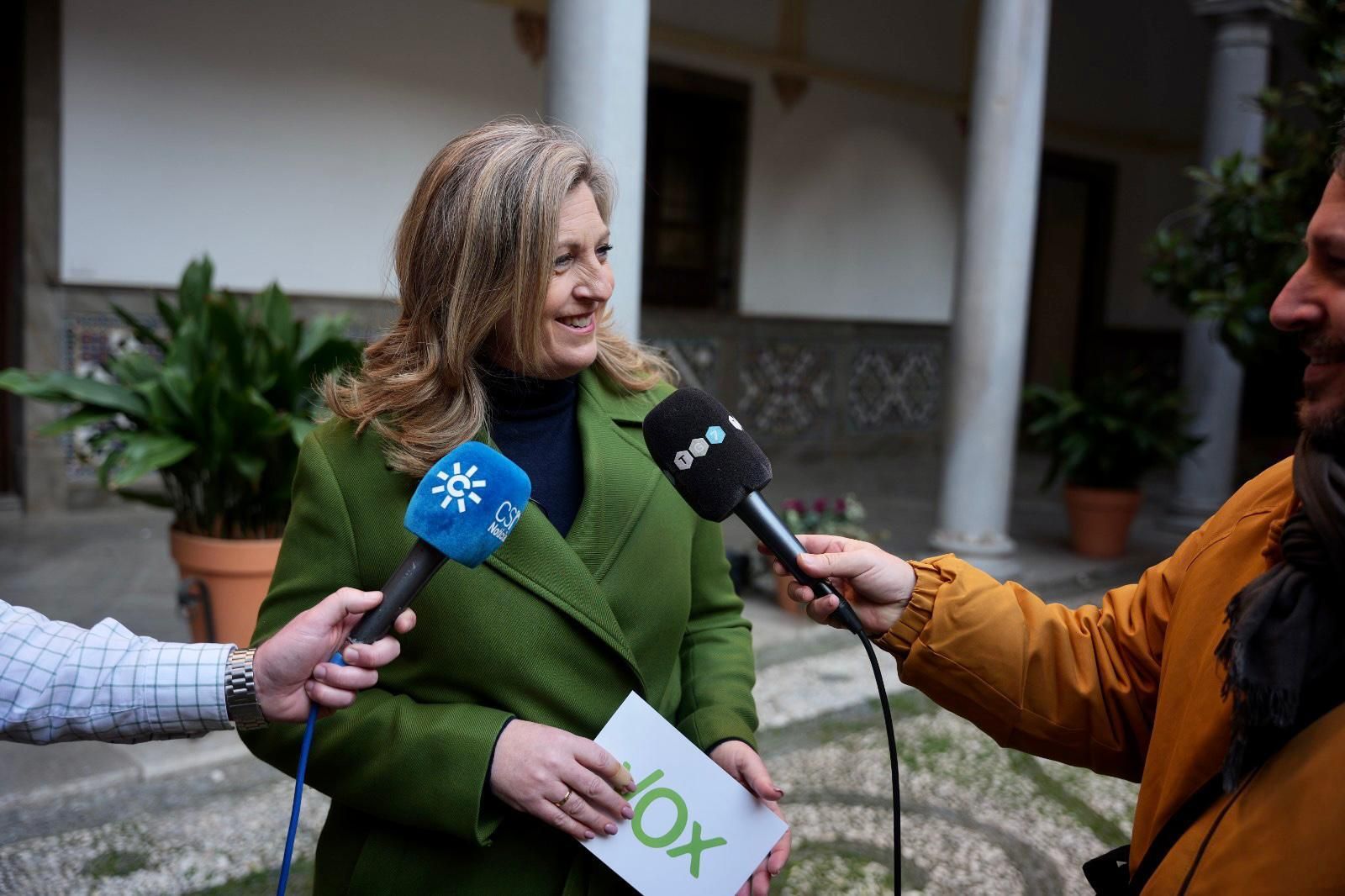 Vox critica la implantación de dos zonas de bajas emisiones en Granada