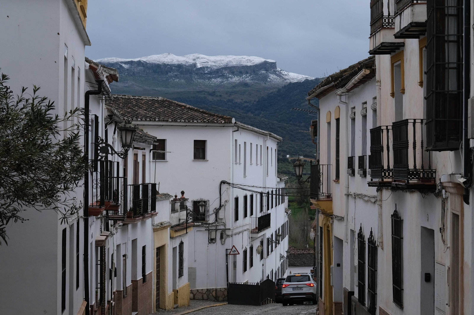 La nueva nevada  en el Parque Nacional Sierra de las Nieves, en fotos
