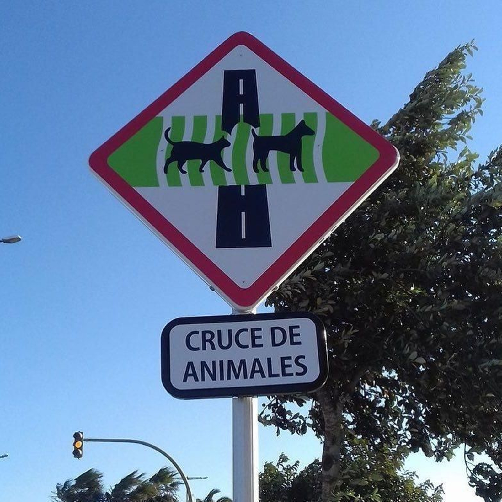 Las señales colocadas.