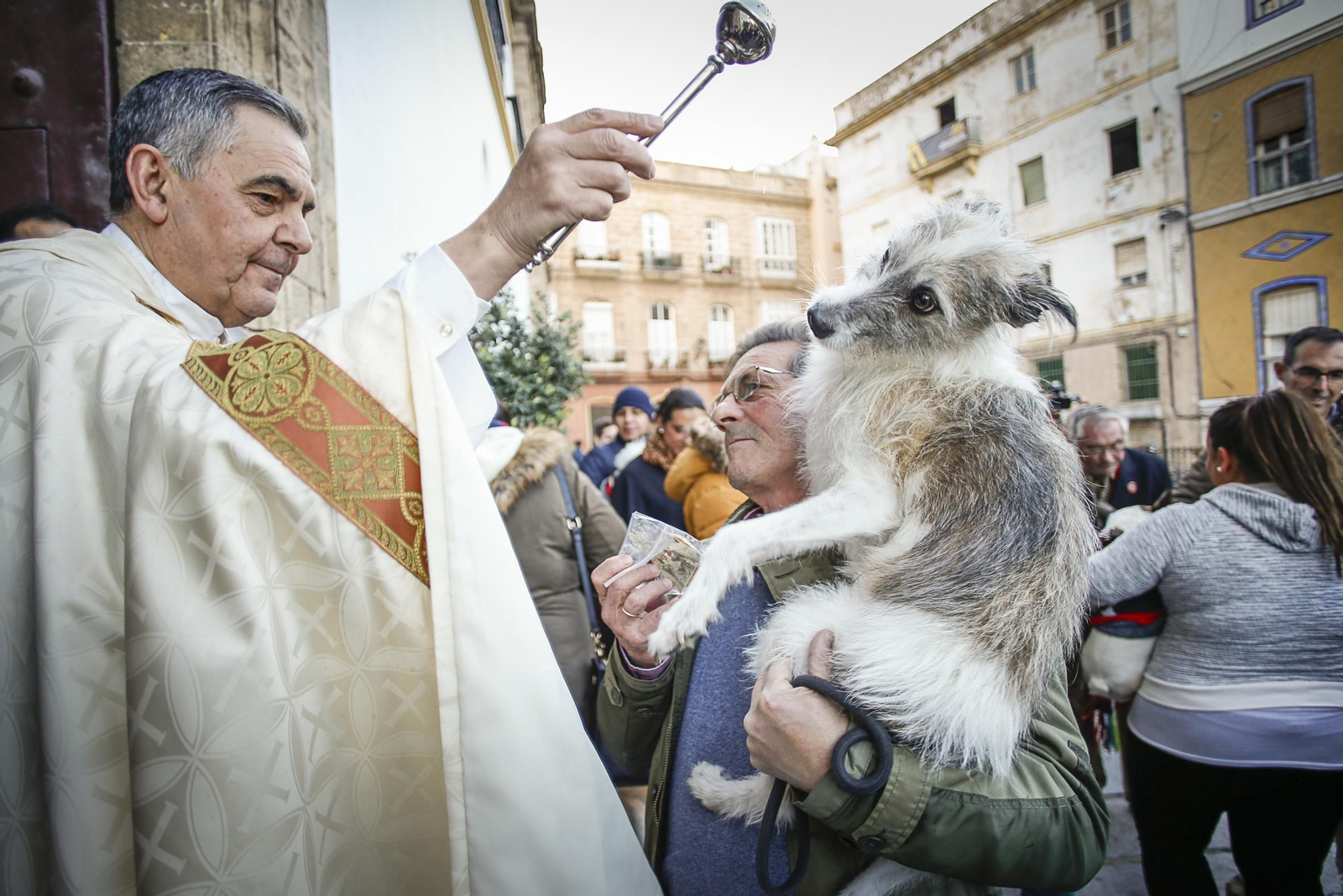 Bendición de animales en Santo Domingo