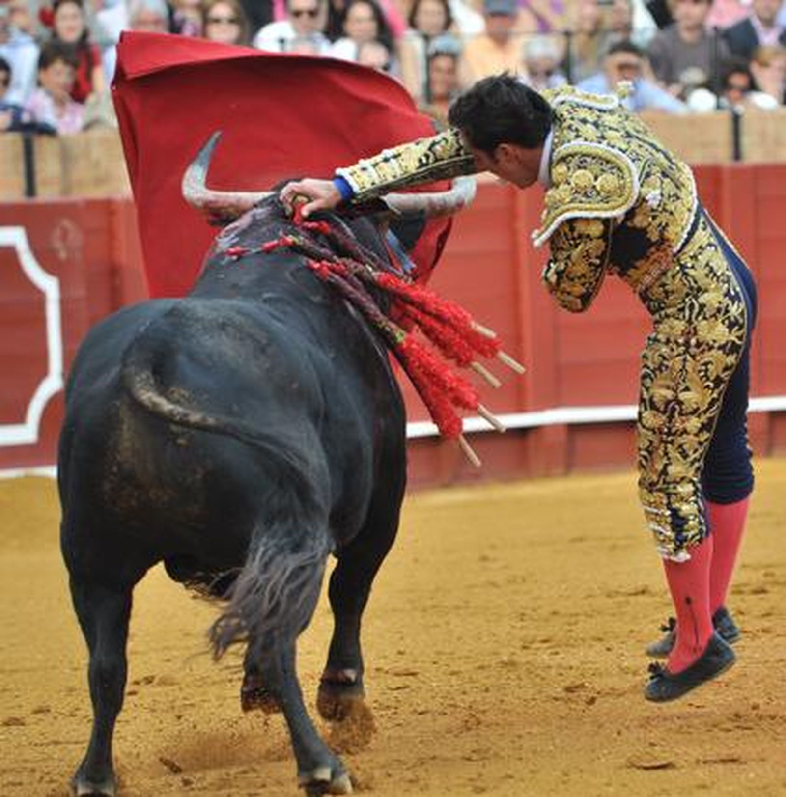 El Fandi rozó el triunfo ante Manuel Díaz 'El Cordobés' y Francisco Rivera Ordóñez. Discreta corrida en la que se torearon astados de la ganadería de Torrestrella. 

Foto: Manuel Gómez
