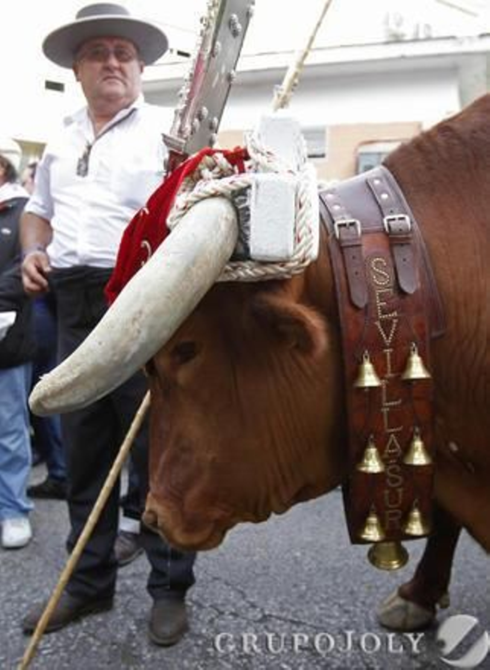 Foto: José Ángel García