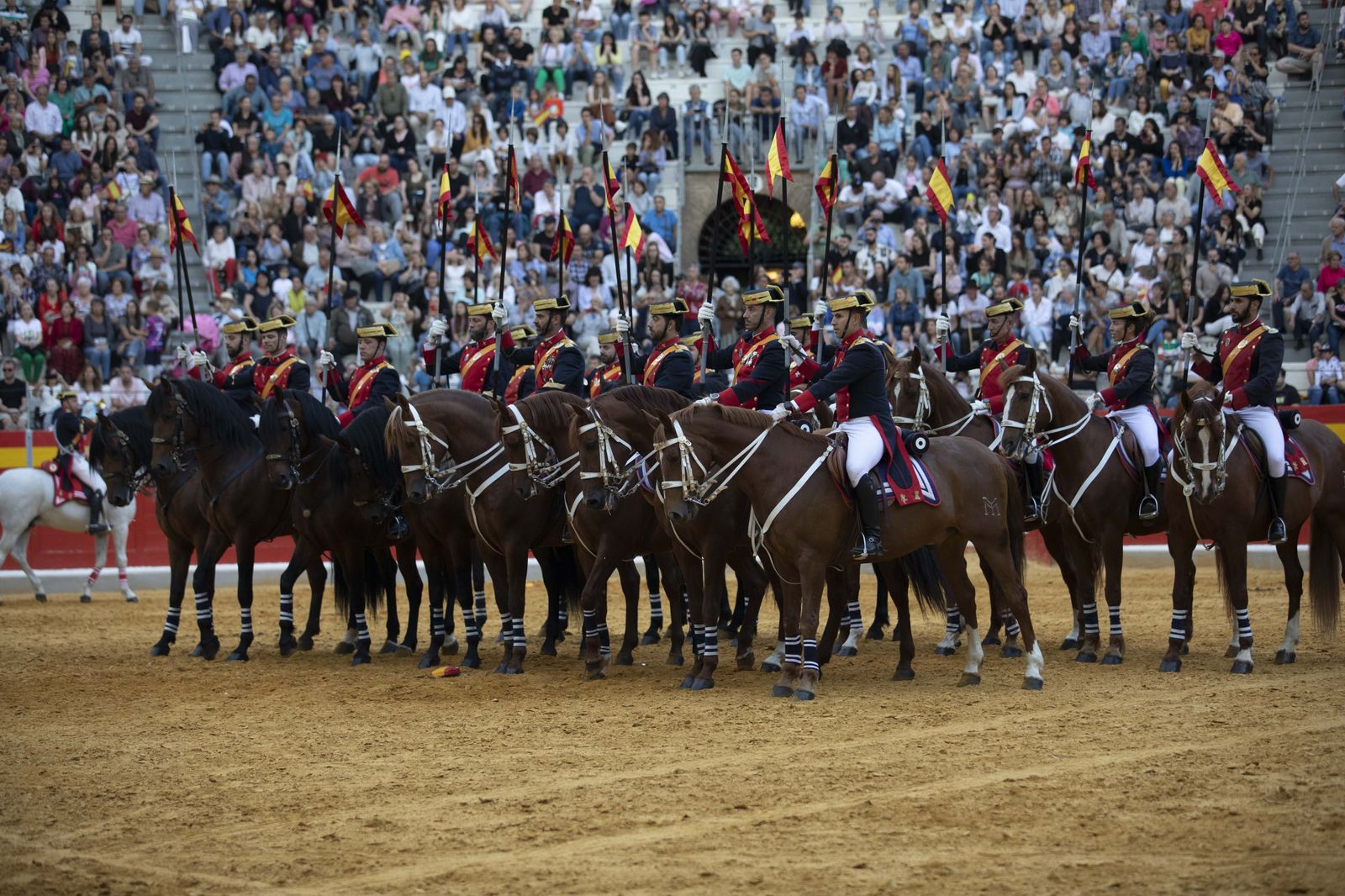 La exhibición del Ejército en la Plaza de Toros de Granada, en imágenes