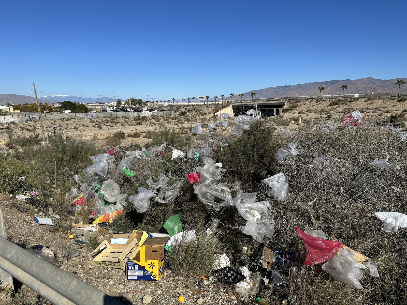 Entorno del mercadillo de El Alquián con bolsas de plástico tras su celebración el domingo