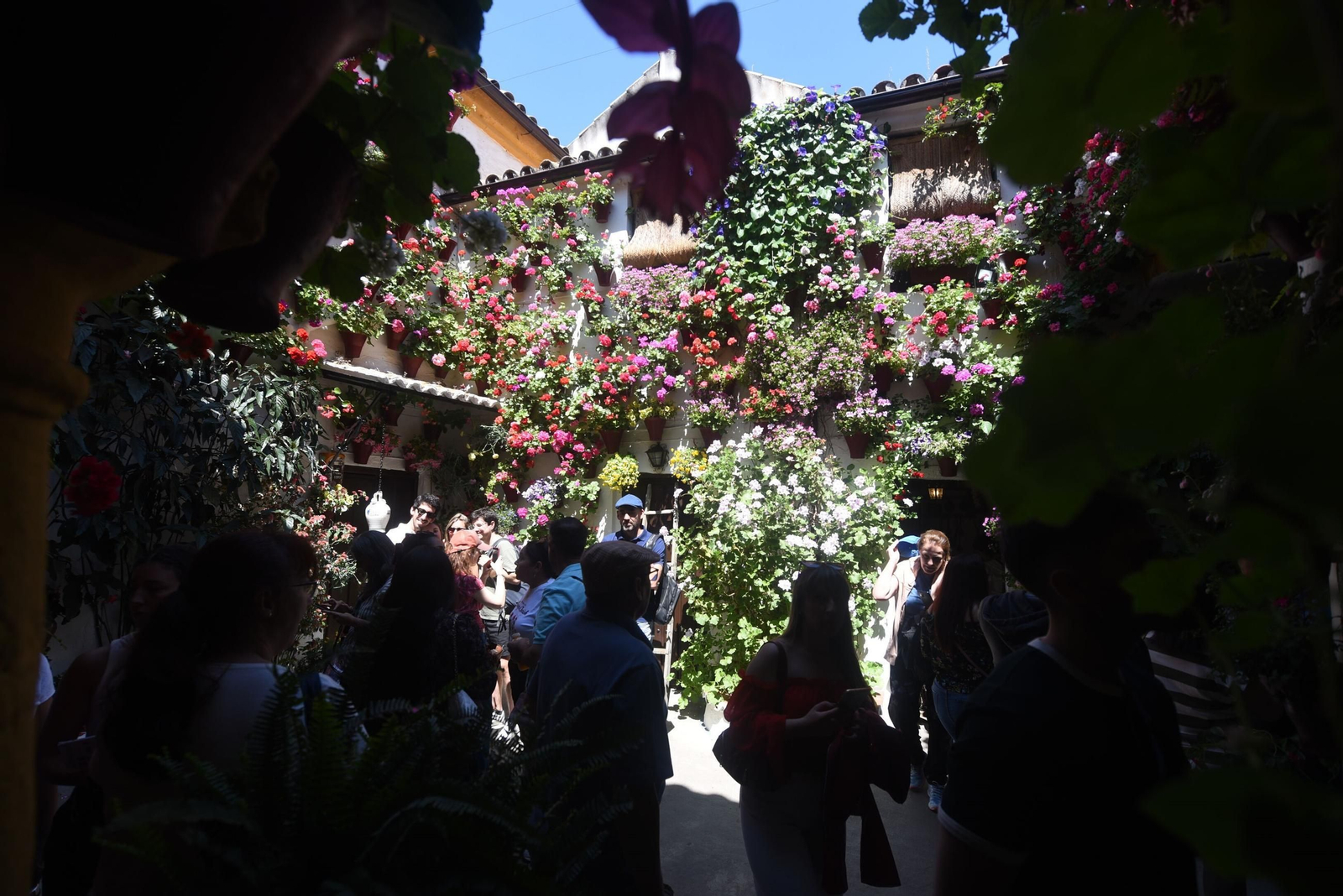 El último sábado de Patios de Córdoba en Alcázar Viejo, en imágenes