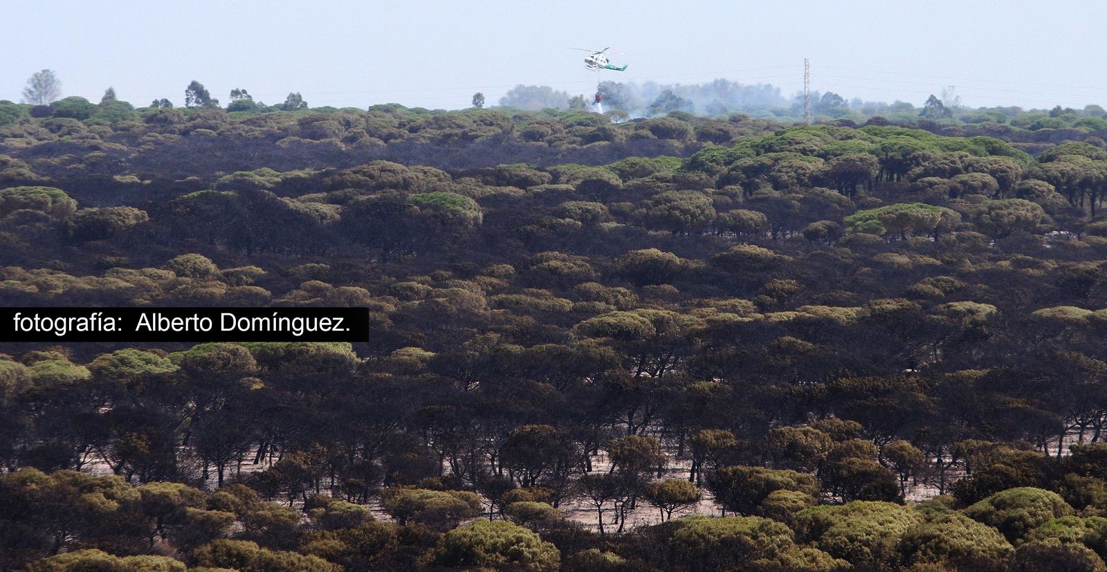Imágenes de Cuesta Maneli tras el incendio.