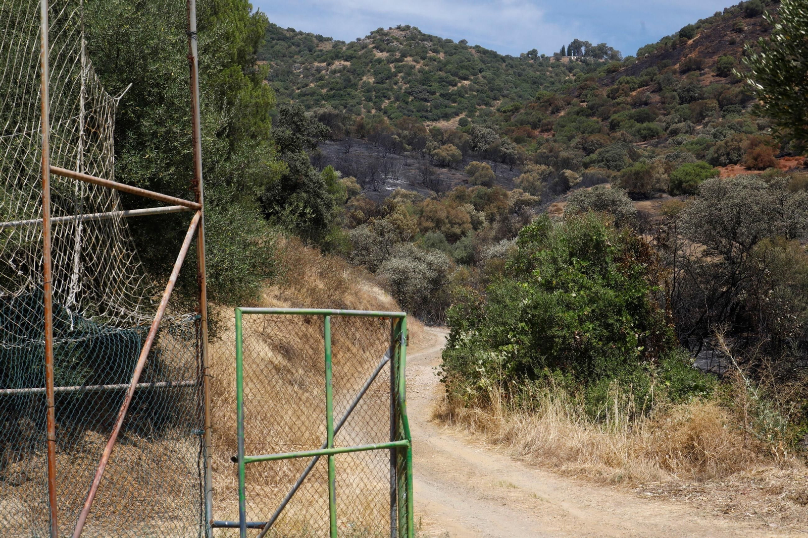 Zona cero del incendio de la Sierra de Córdoba