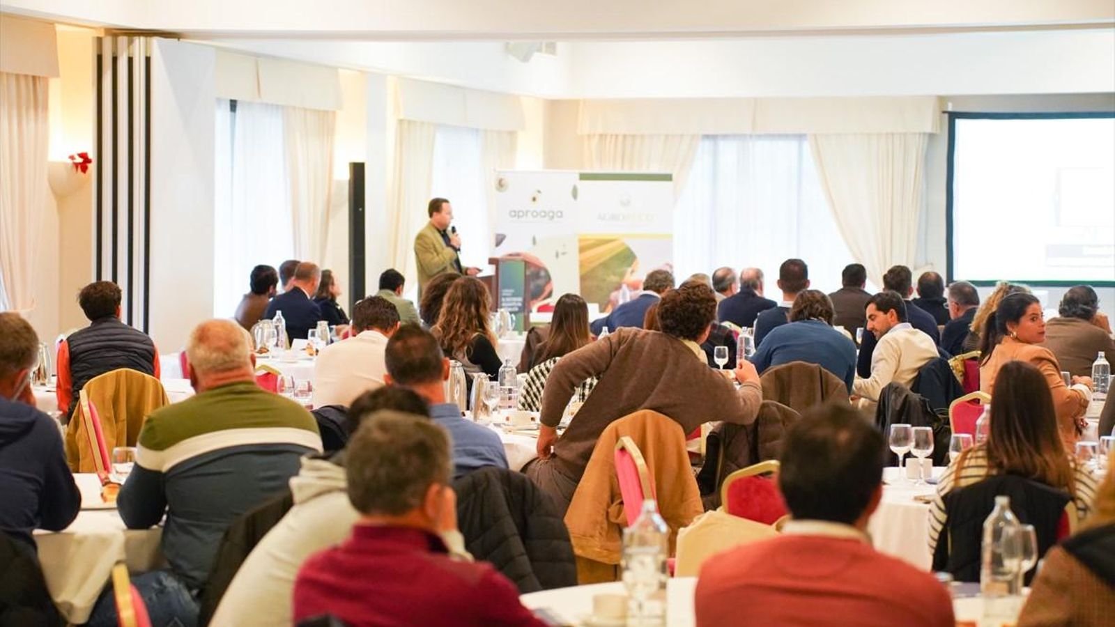 El desayuno informativo del sector del aguacate.