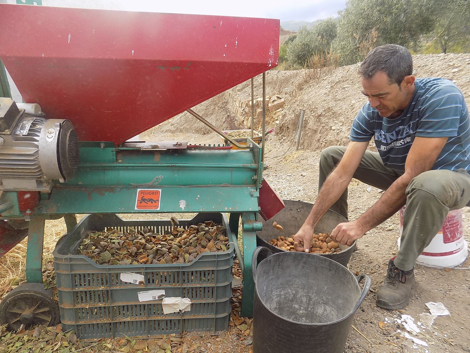 Los Vélez, el Valle de Almanzora y levante almeriense, principales zonas productoras en la provincia.