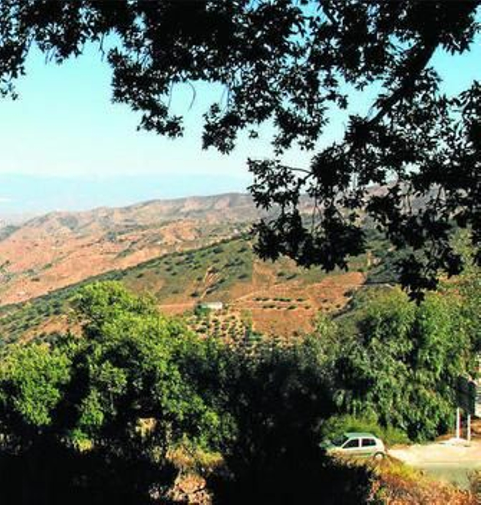 Parque natural de Los Montes de Málaga.