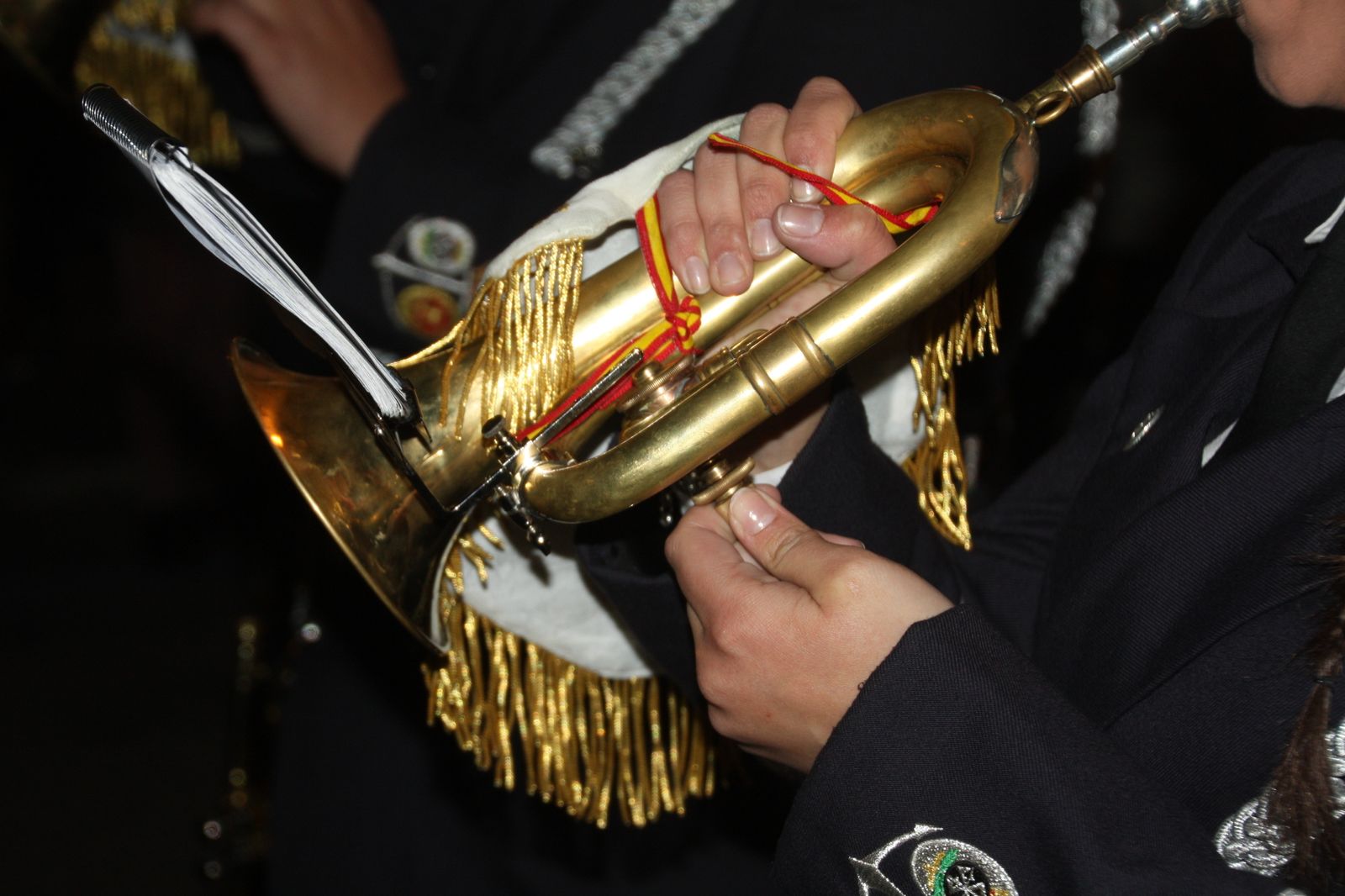 Las imágenes del Jueves Santo en Berja. Semana Santa 2019