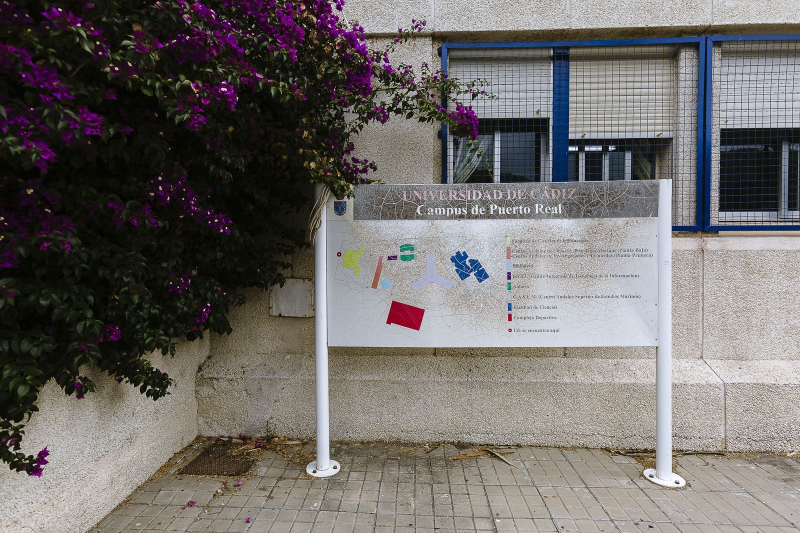 Estado actual de las instalaciones de la Facultad de Ciencias de la Educación