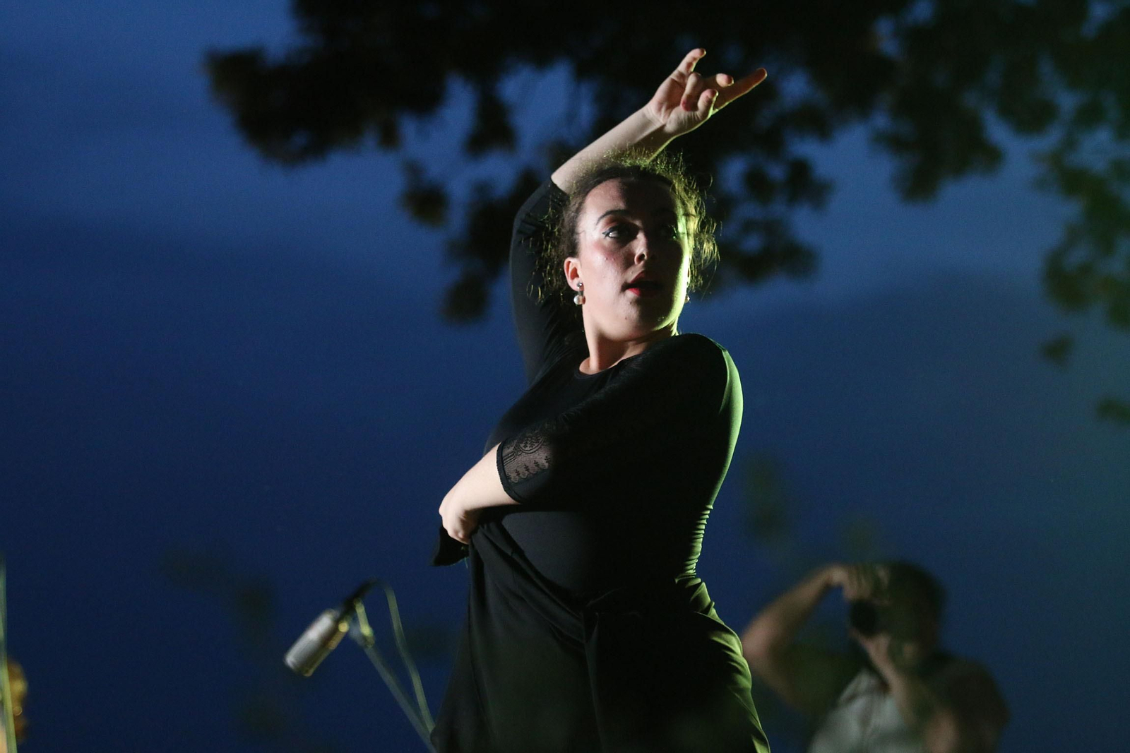 Las imágenes del 'Amanecer en la Alcazaba'