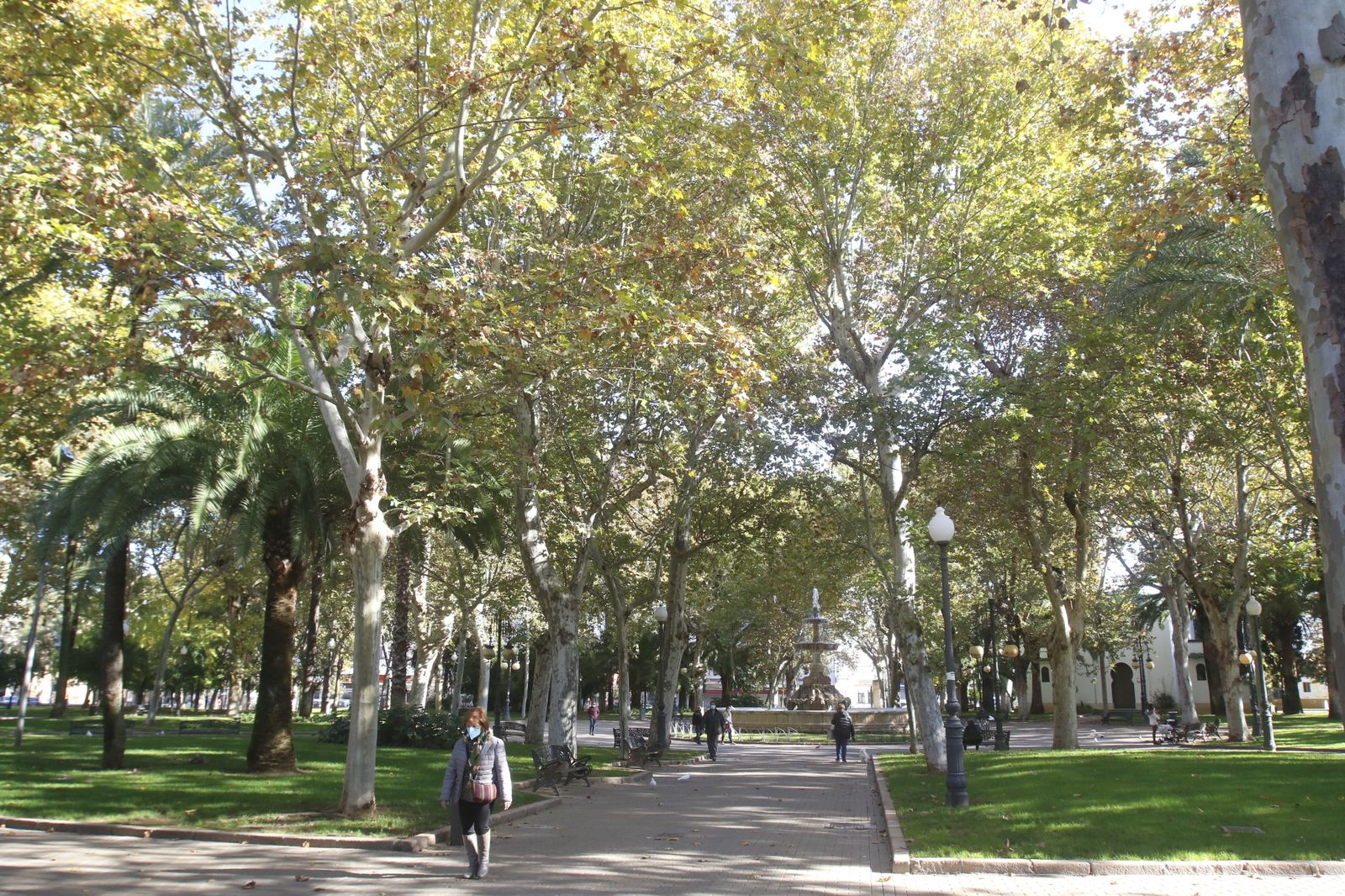 El otoño en Córdoba, en fotografías