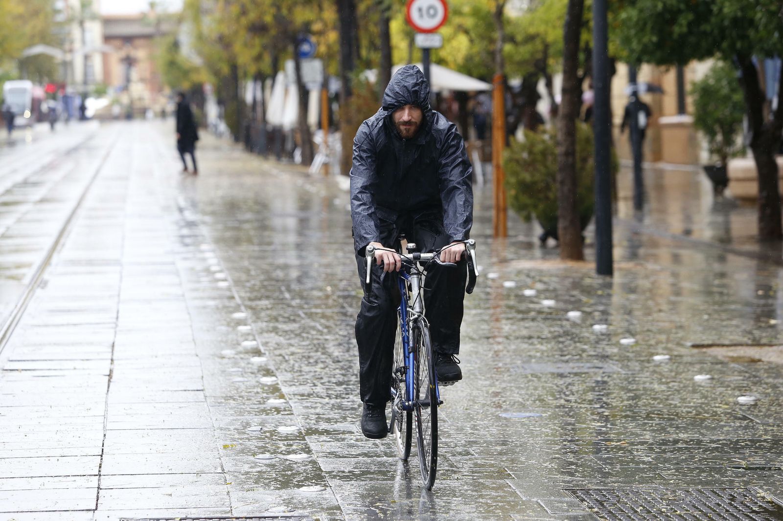 Las imágenes del temporal en Sevilla