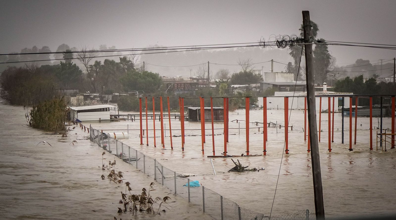 Imágenes de las graves consecuencias de la crecida del rio Guadalete en la zona rural de Jerez
