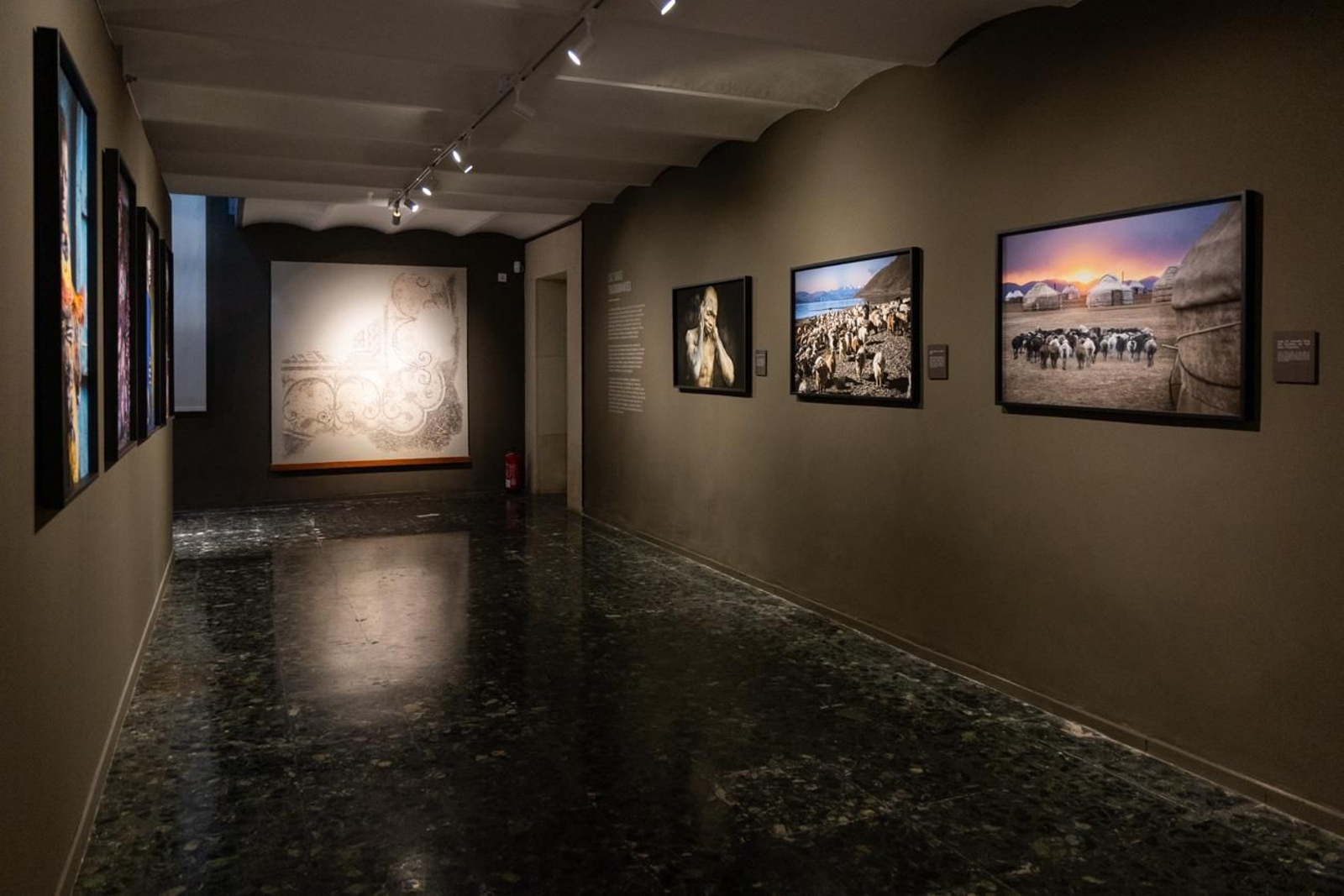 One Health en imágenes: la fotogalería de Katy Gómez que te hará reflexionar sobre la salud global