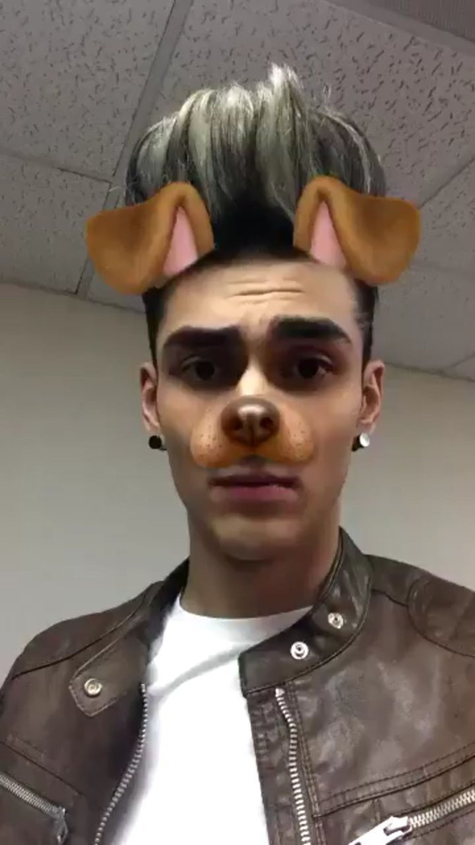 Están dando 'caló' con...Los filtros de perrito