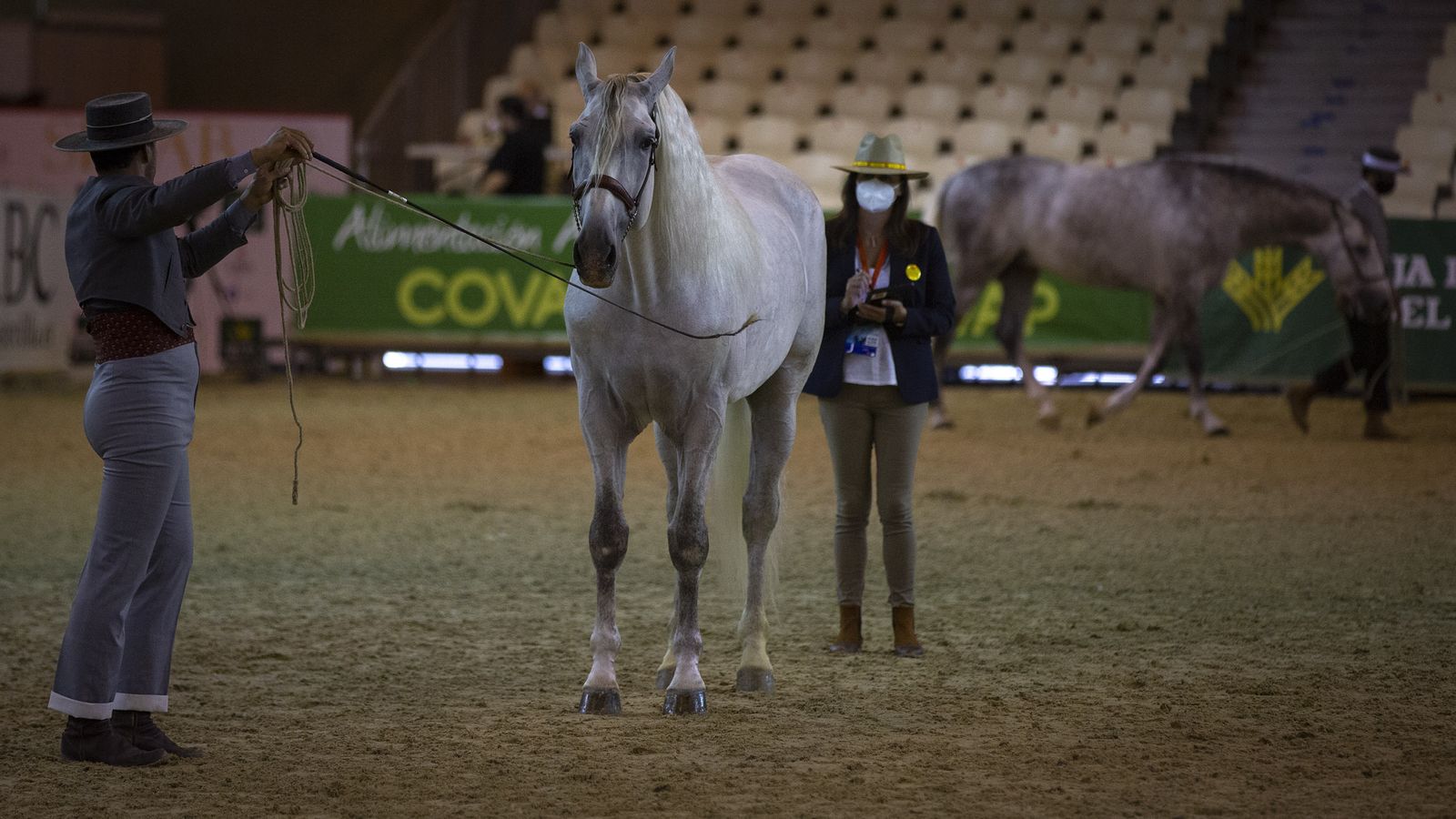 Imágenes de Sicab 2020 en la reanudación de las pruebas en Fibes