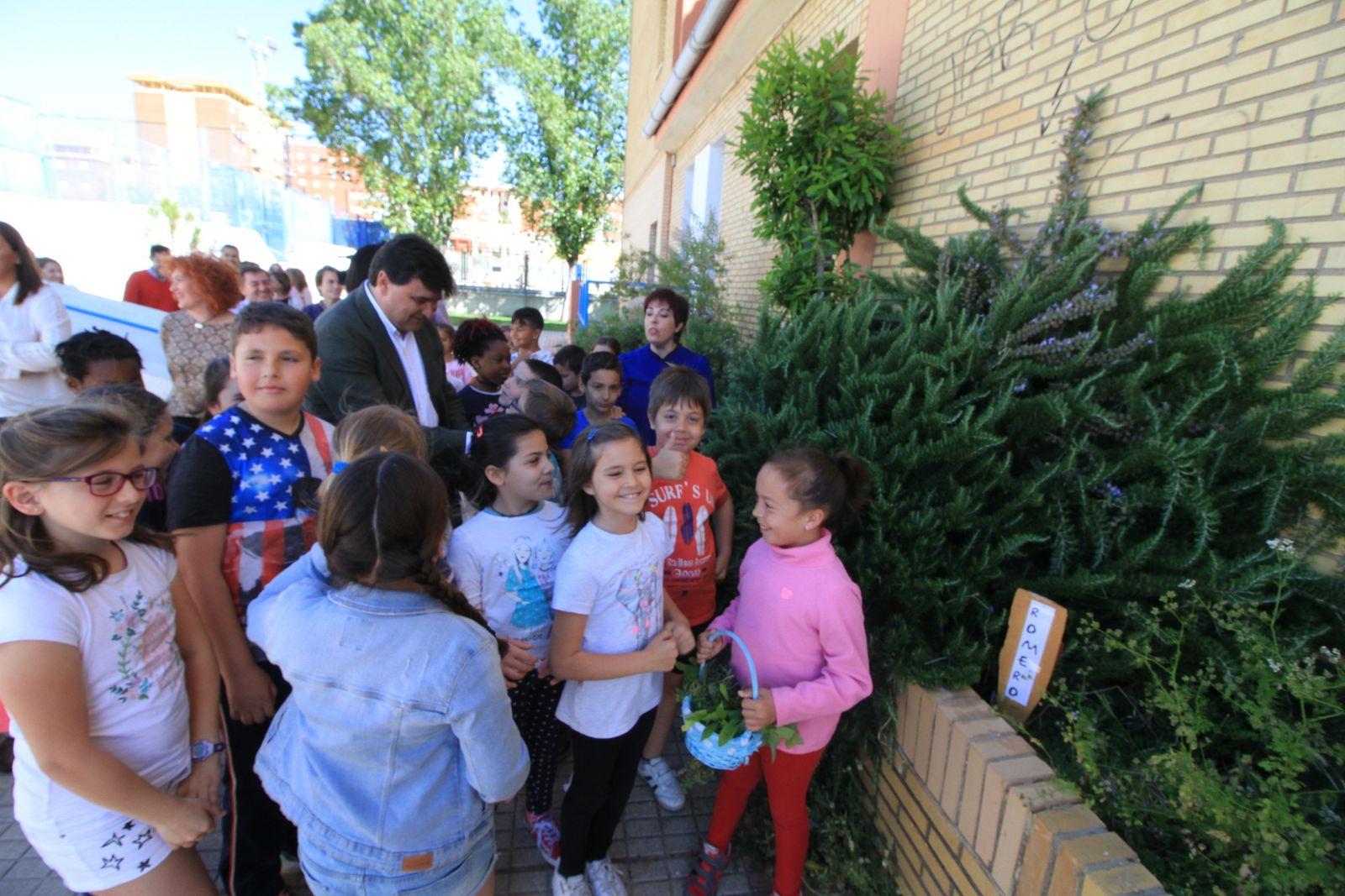 Imágenes de la plantación de árboles llevada a cabo en el colegio Los Rosales, con motivo del incendio del año pasado