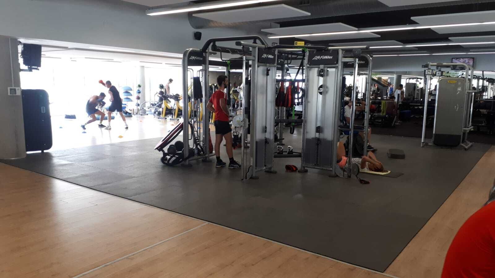 Una imagen del viding La Rosaleda.